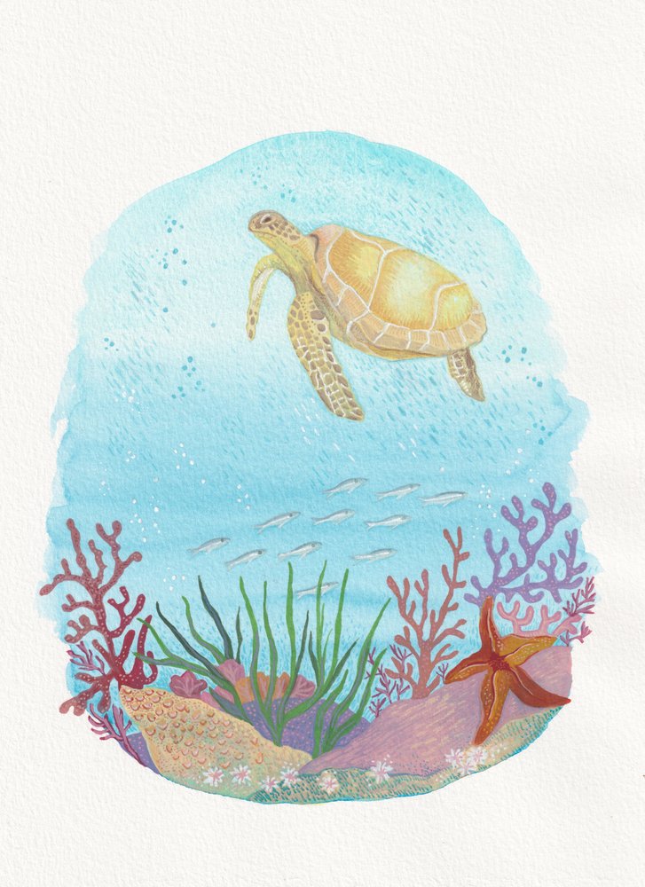 Swimming Sea Turtle