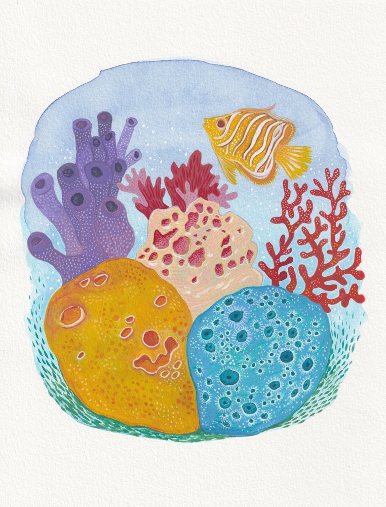 Colorful Coral Reef
