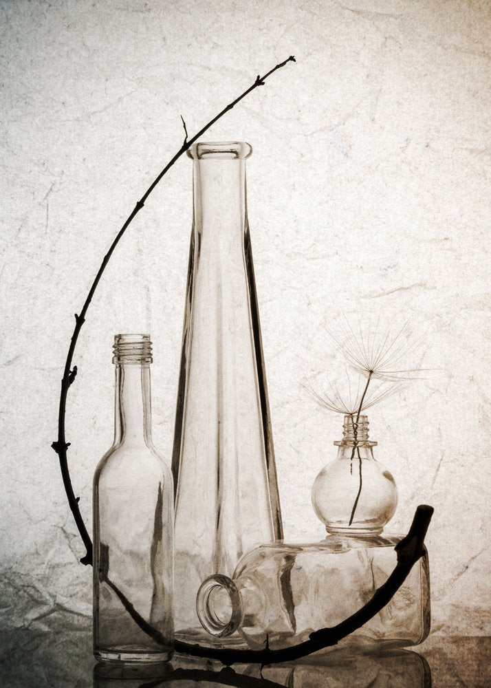 Glass and Delicate Branch