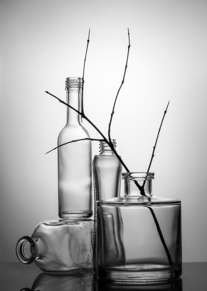 Bare Branches Glass Still Life