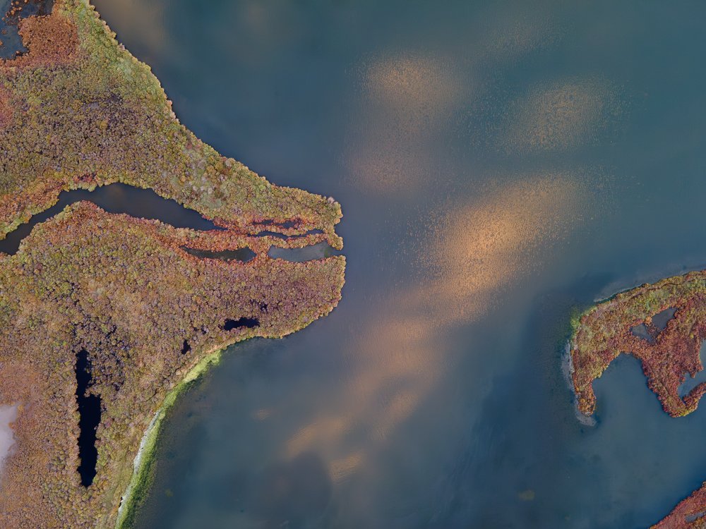 Golden Marshland Aerial