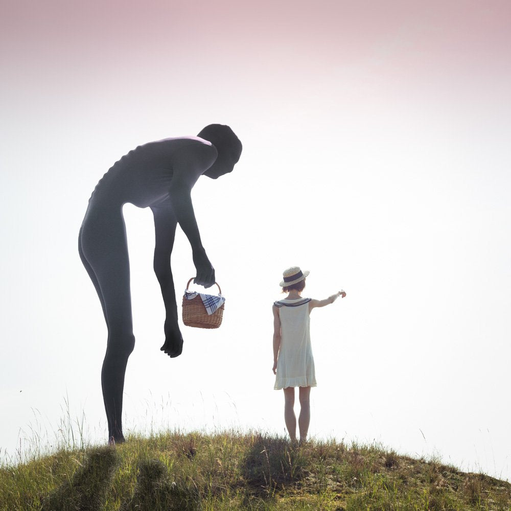 Surreal Picnic Encounter