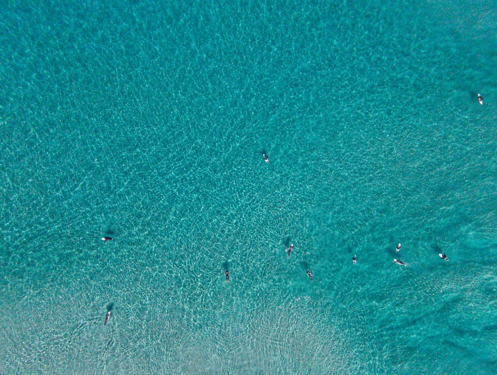 Turquoise Water Surfers