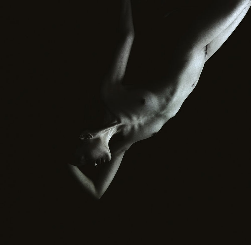 Elegant Form Study