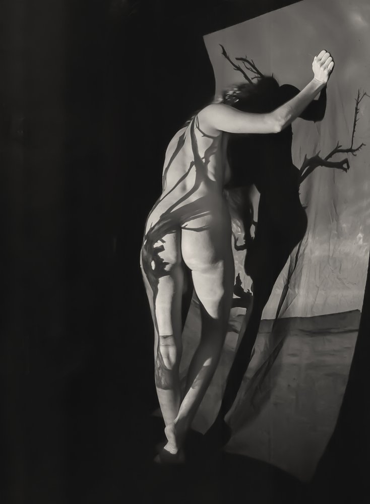 Nude Shadow Play