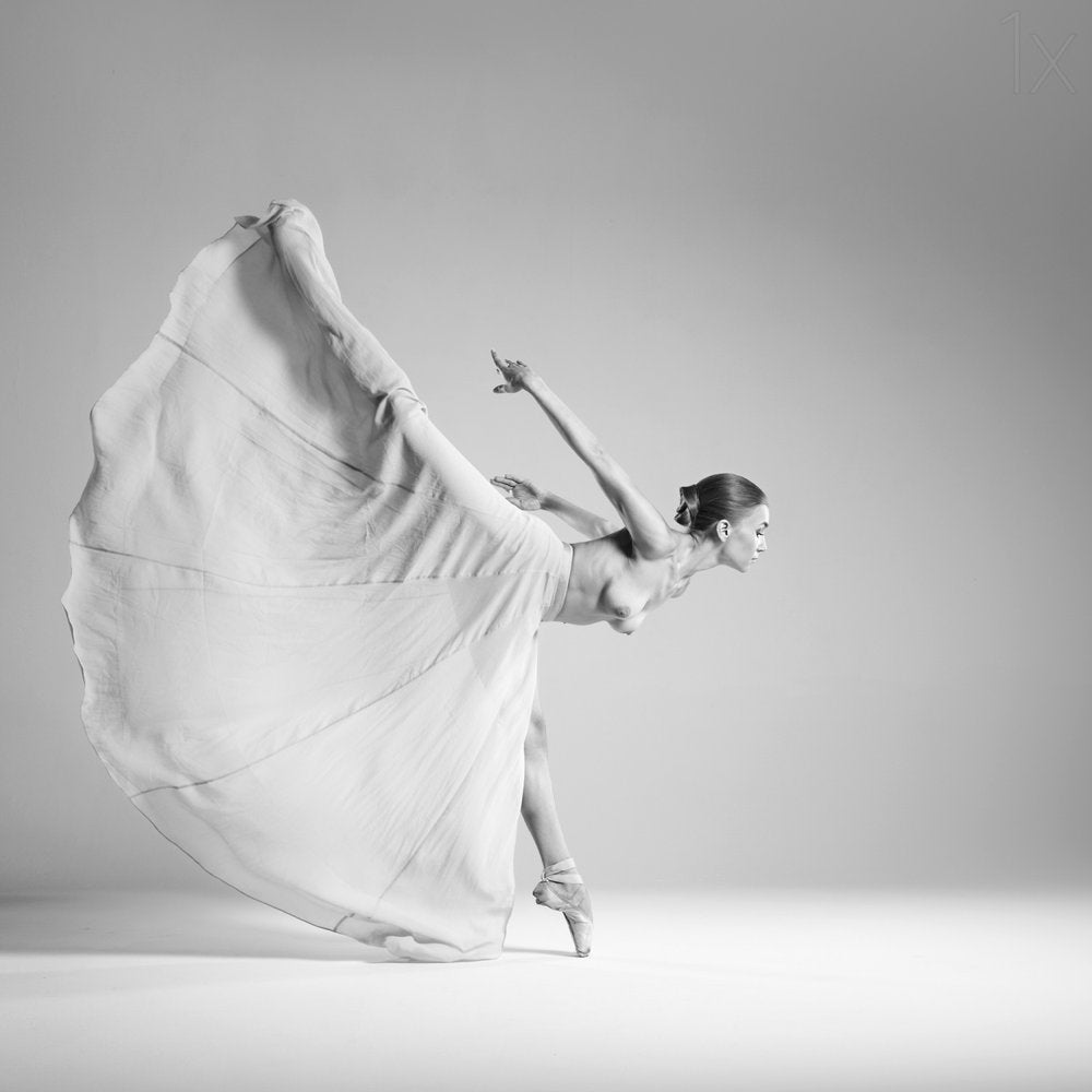 Graceful Ballet Movement