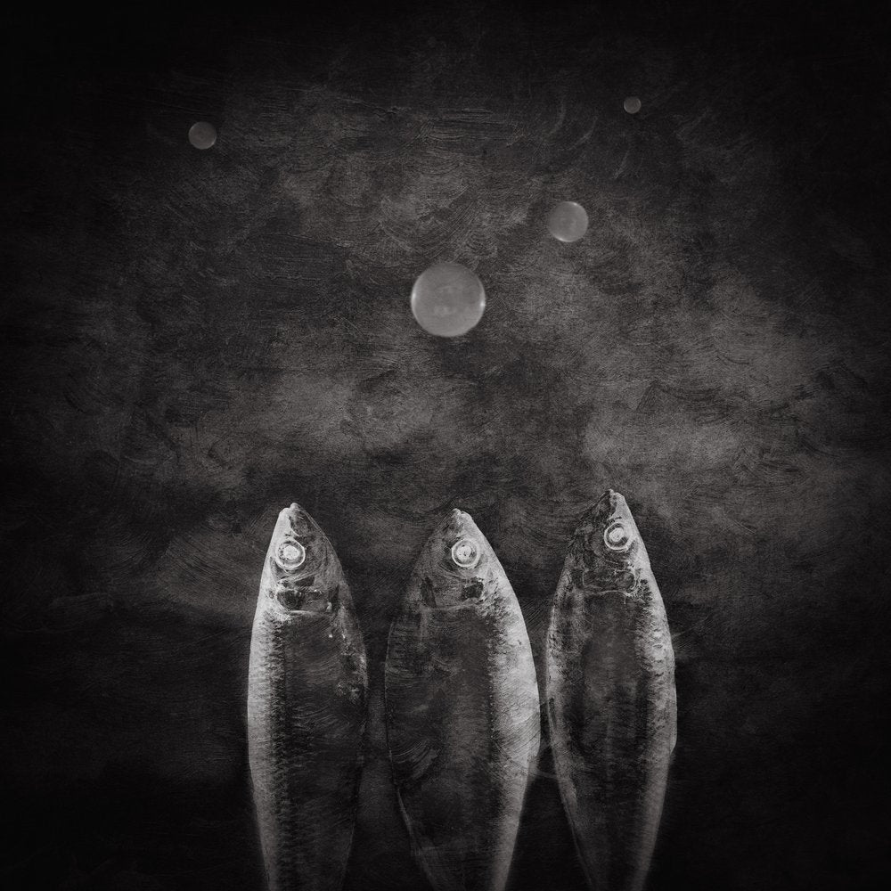 Dark Fish And Bubbles