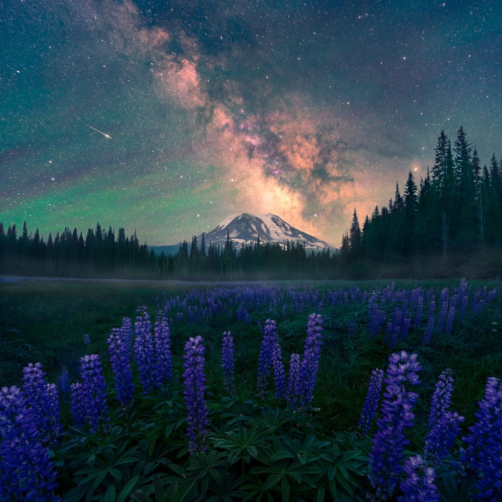 Milky Way Mountain Meadow
