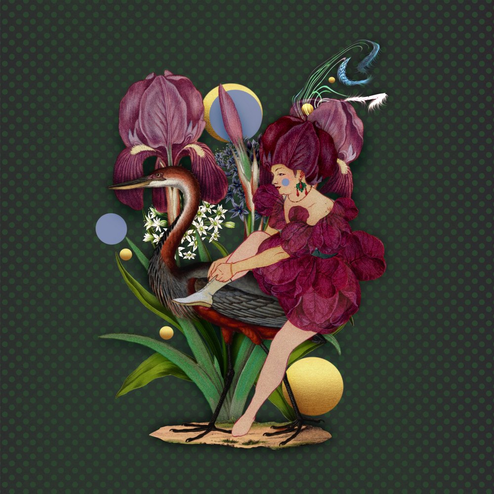 Whimsical Heron Maiden