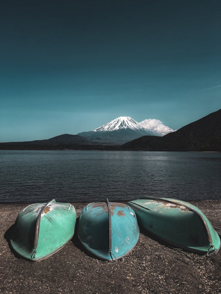 Mount Fuji Lakeside Boats