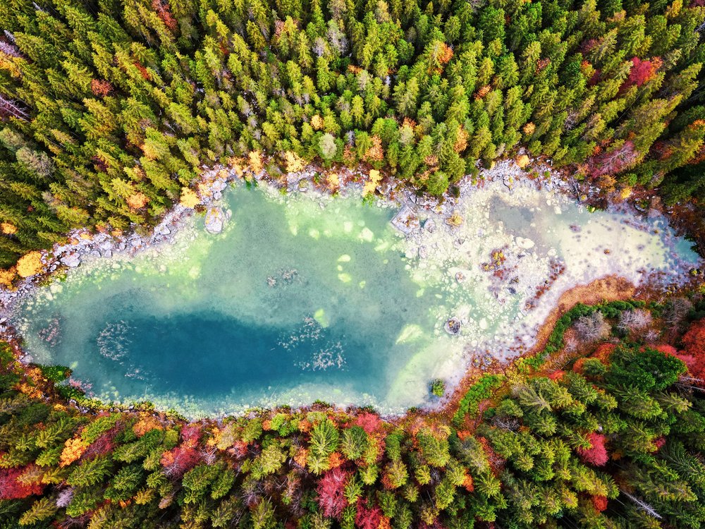 Autumn Forest Lake Aerial