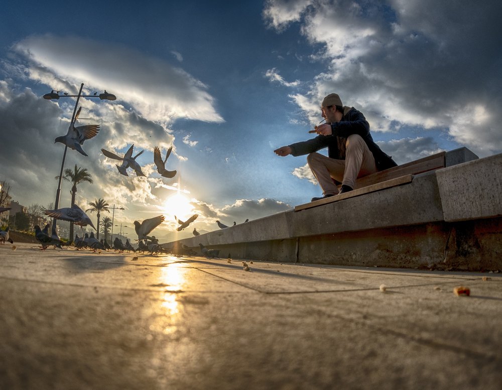 Man Feeding Pigeons Sunset