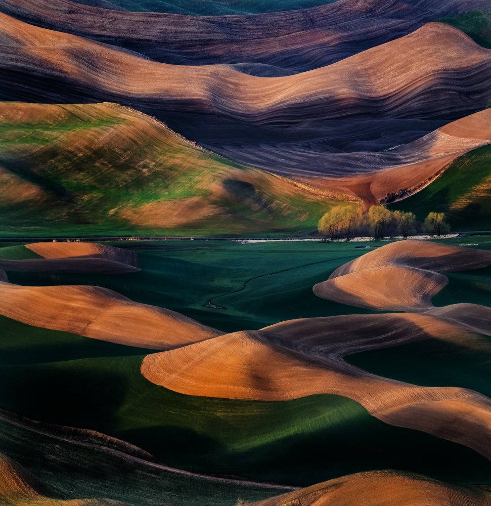 Hills of Magic