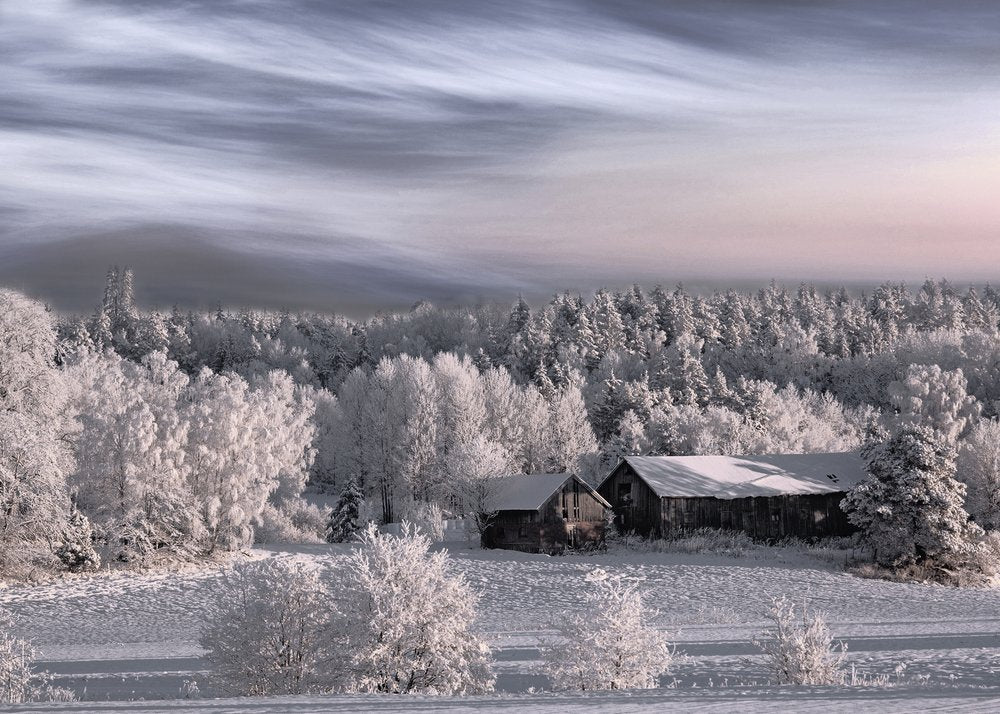 Serene Winter Barns
