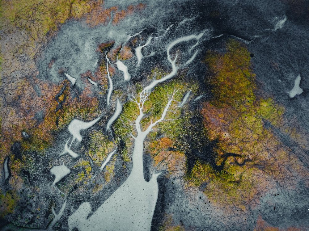 When the artist is nature itself