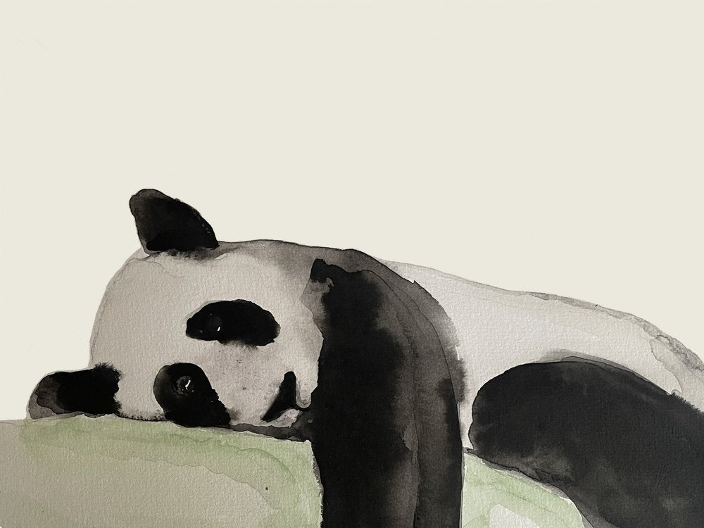 Peaceful Panda Nap