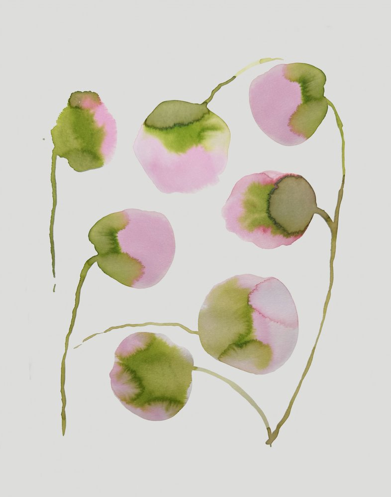 Soft Pink Blossoms