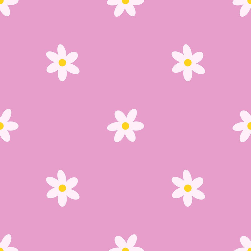 Blushing Daisy Field