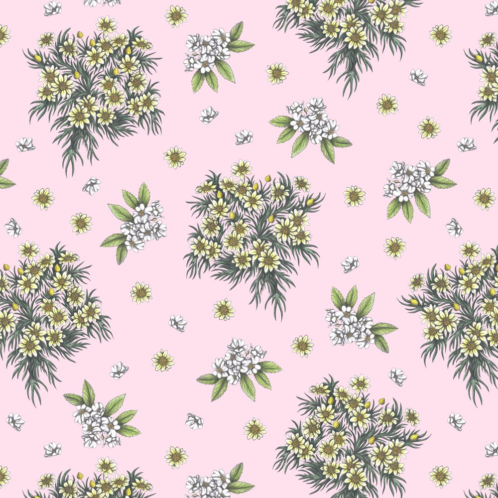 Sweet Spring Blooms