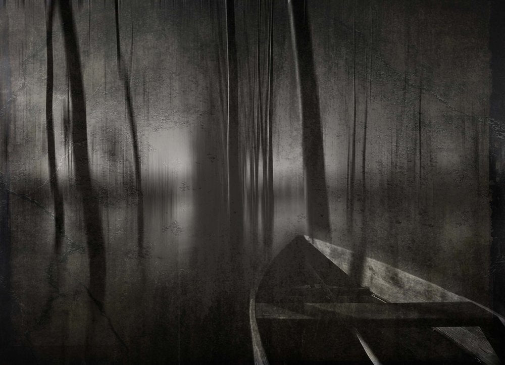 Dark Forest Boat