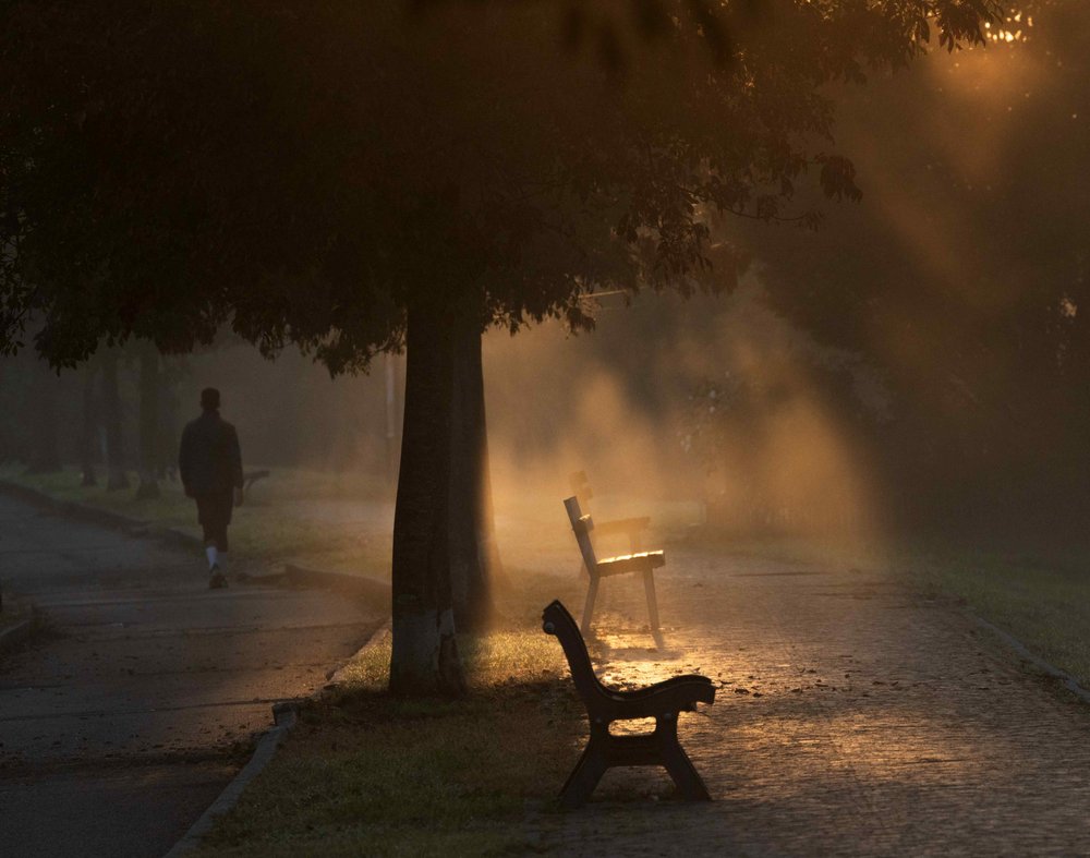 Misty Morning Park Walk