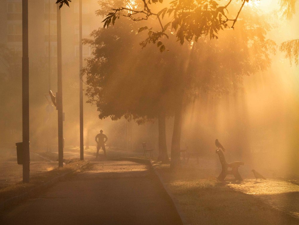 Golden Morning Silhouette