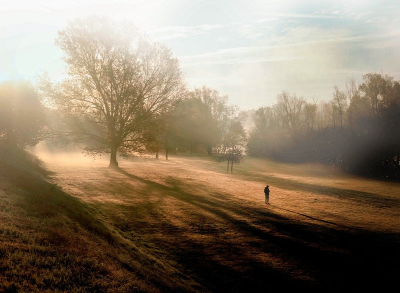 Lone Figure Morning Fog