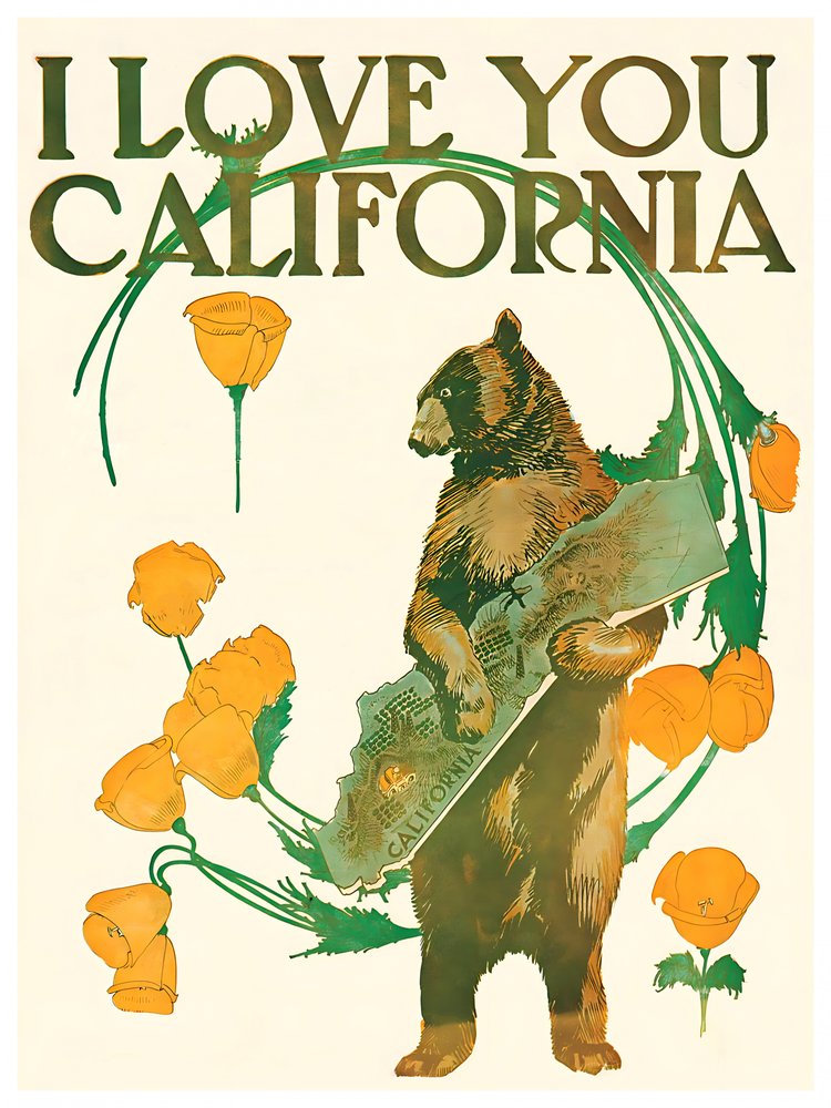 I Love California Bear