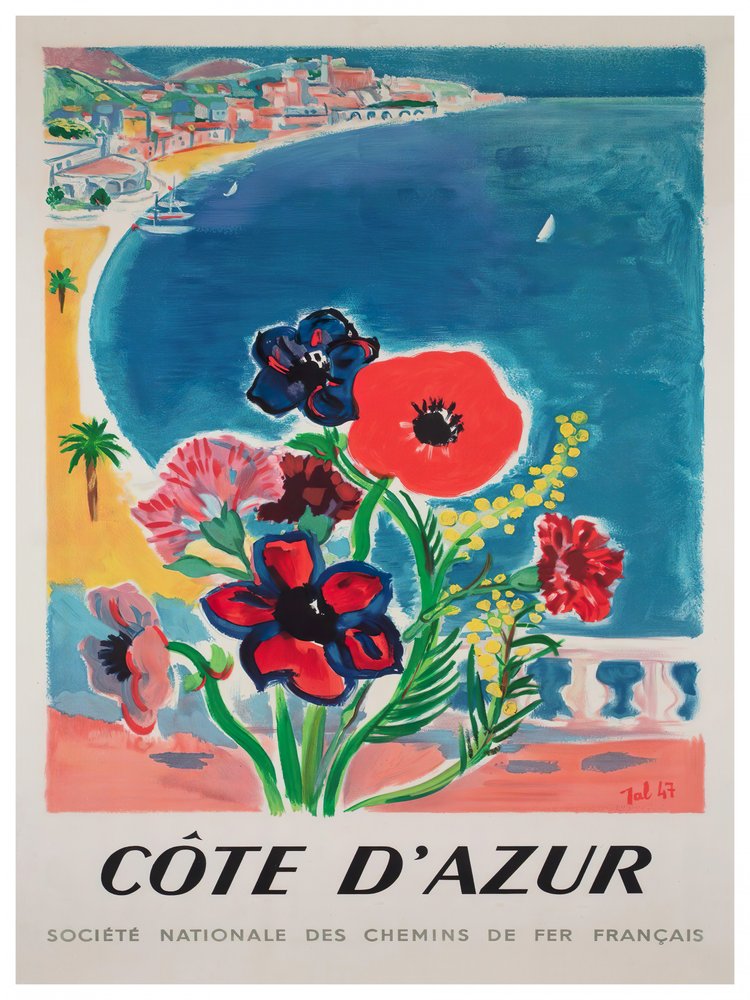 Côte D'Azur Summer Flowers