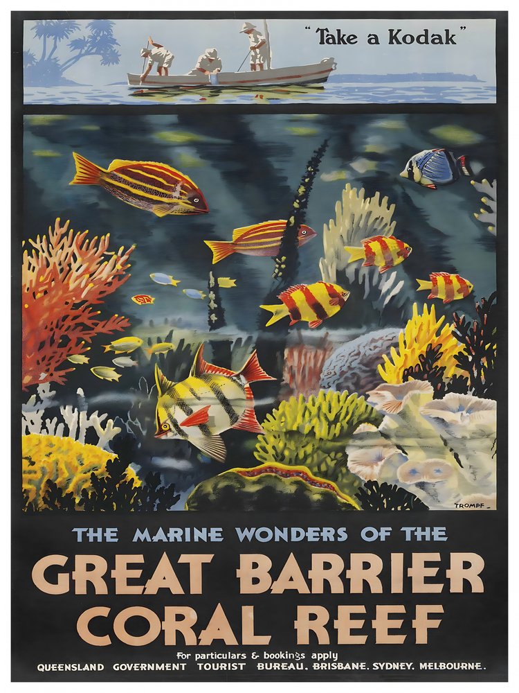 Great Barrier Coral Wonders
