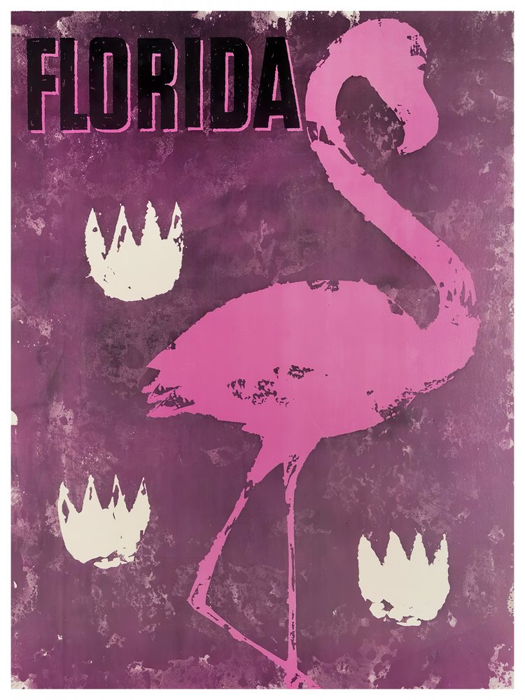 Vibrant Florida Flamingo
