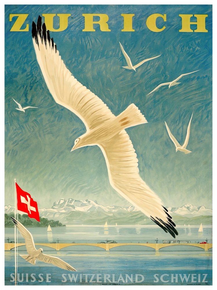 Seagulls Over Zurich Lake