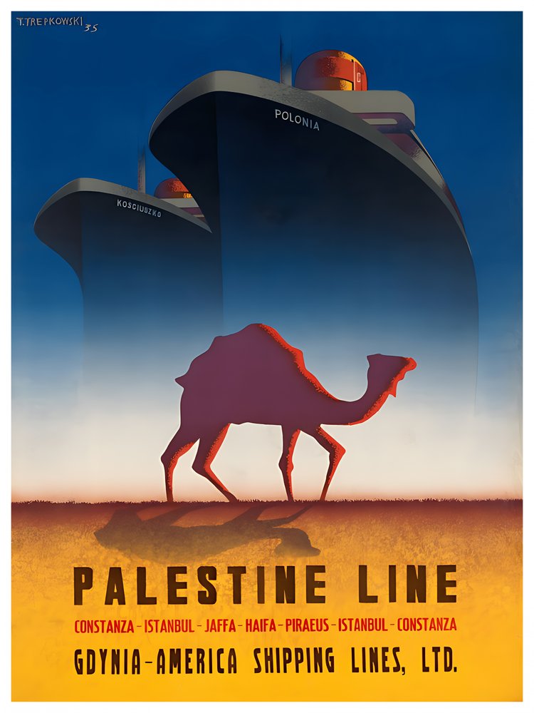 Desert Camel Ocean Ships
