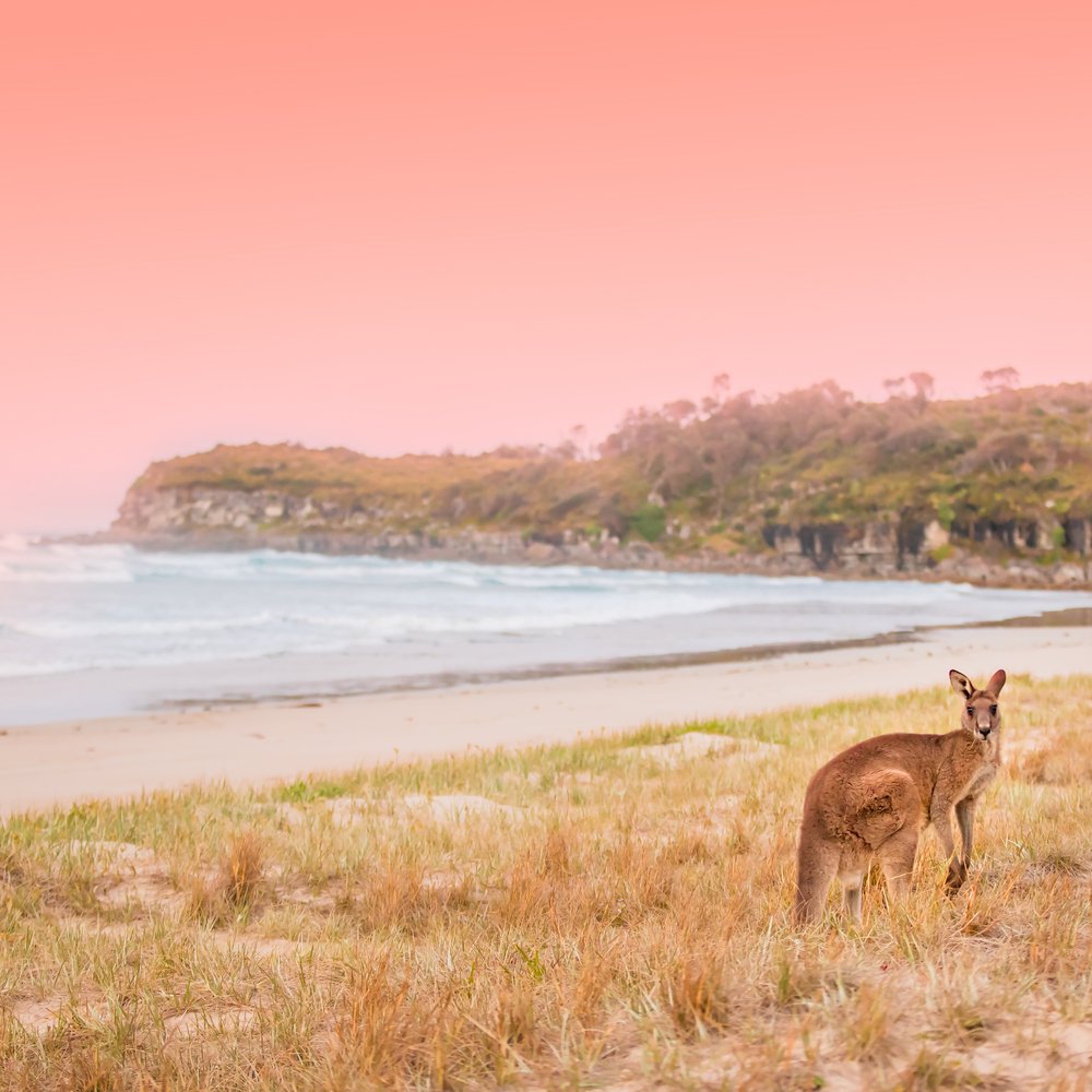 Kangaroo Beach Sunset