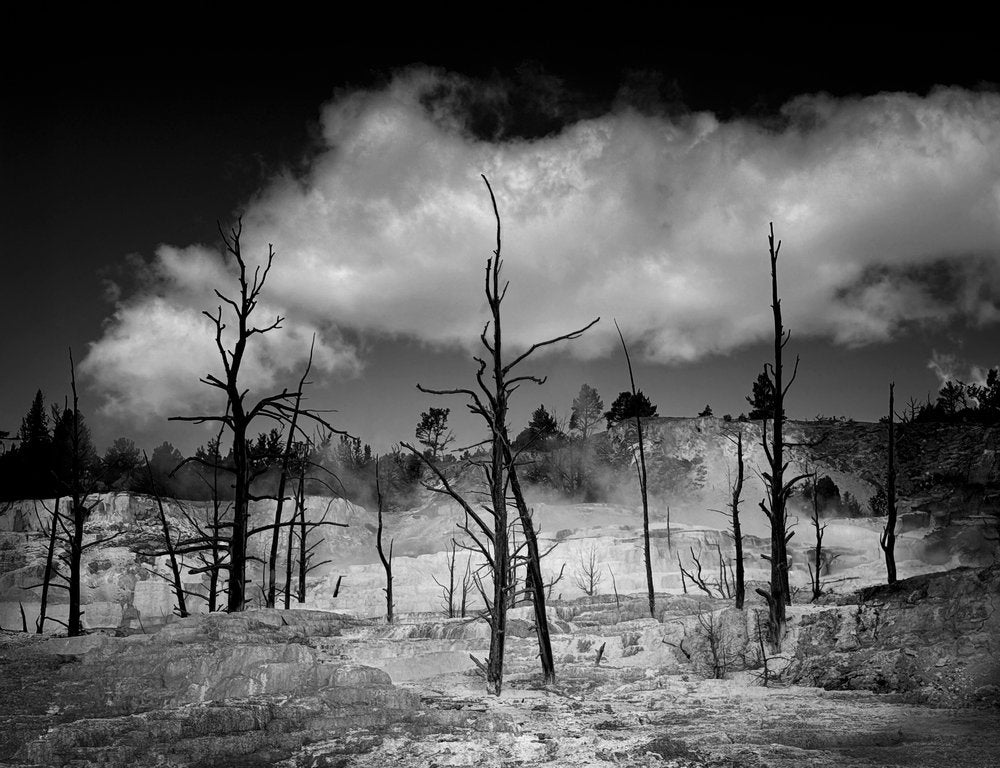 Steaming Geothermal Landscape
