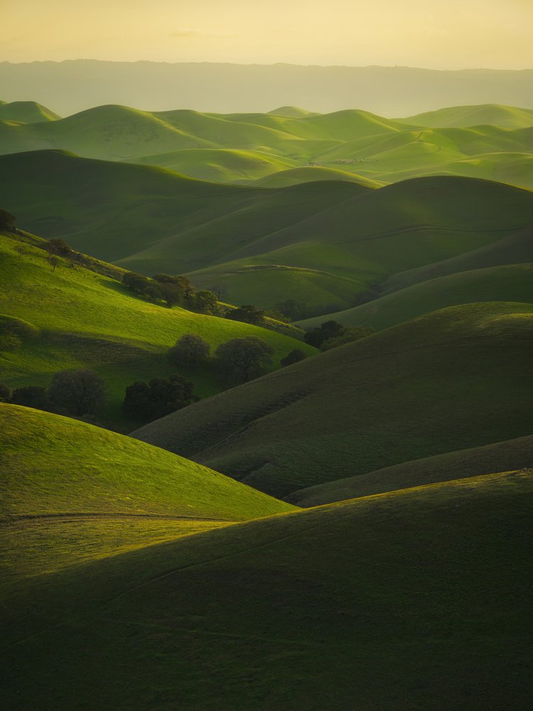 Golden Rolling Hills