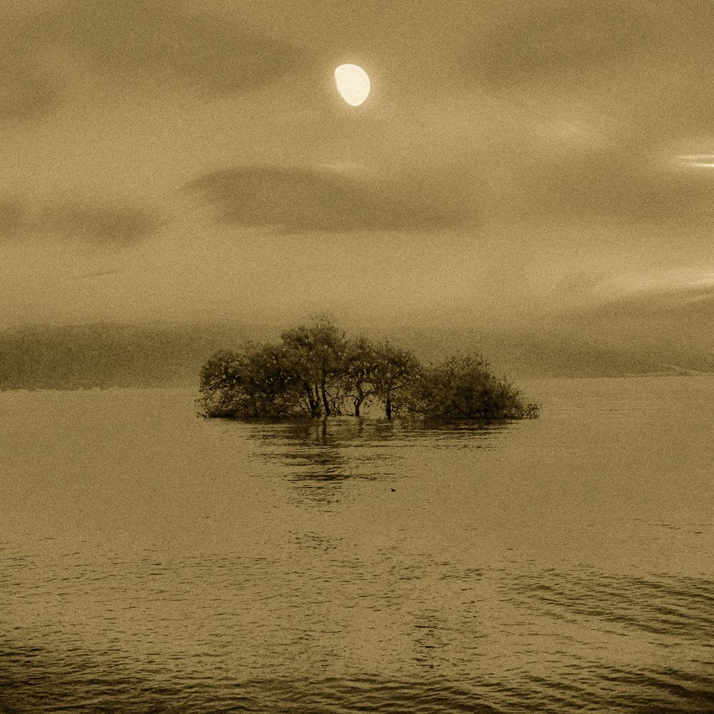 Tranquil Island Moon