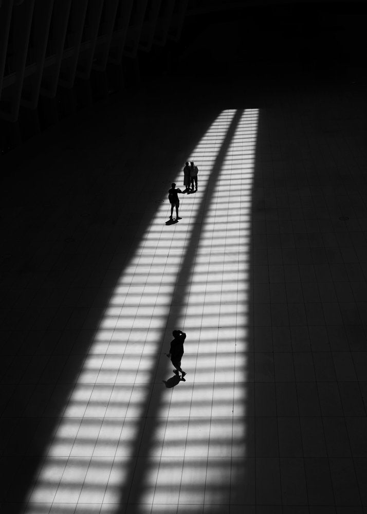 Silhouettes in Sunlight