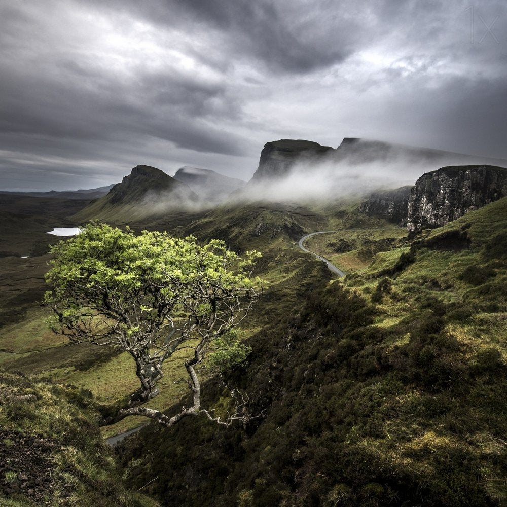 Lone Tree Misty Highlands