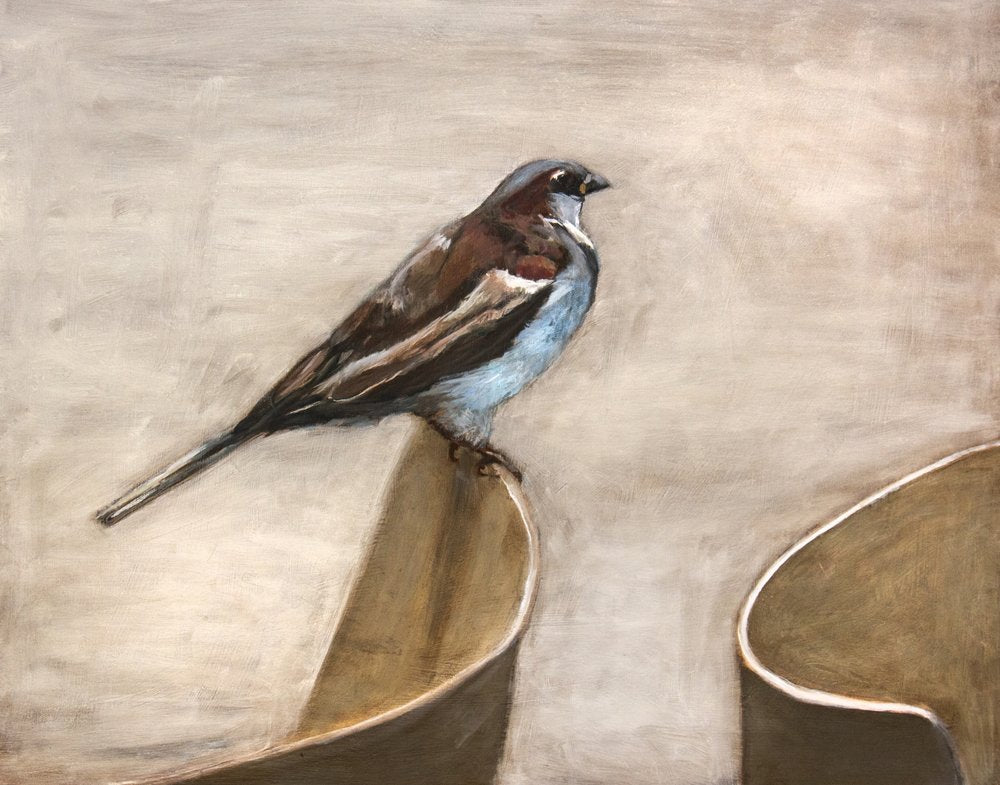 Quiet Sparrow Perch