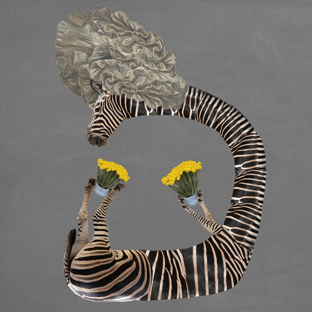 Whimsical Zebra Flowers