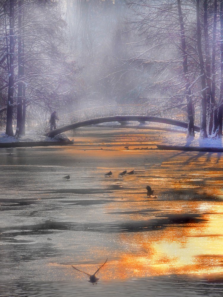 Misty Winter Bridge