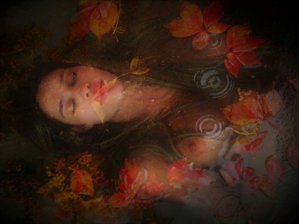 Autumn Dreamer