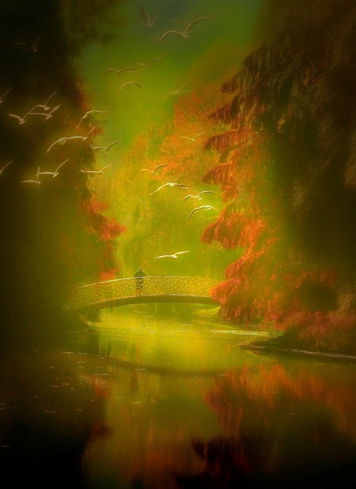 Golden Bridge Flight