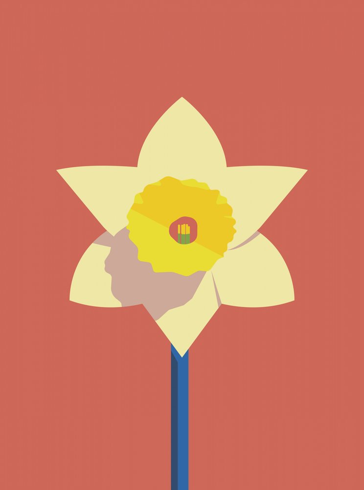 Bold Daffodil Bloom
