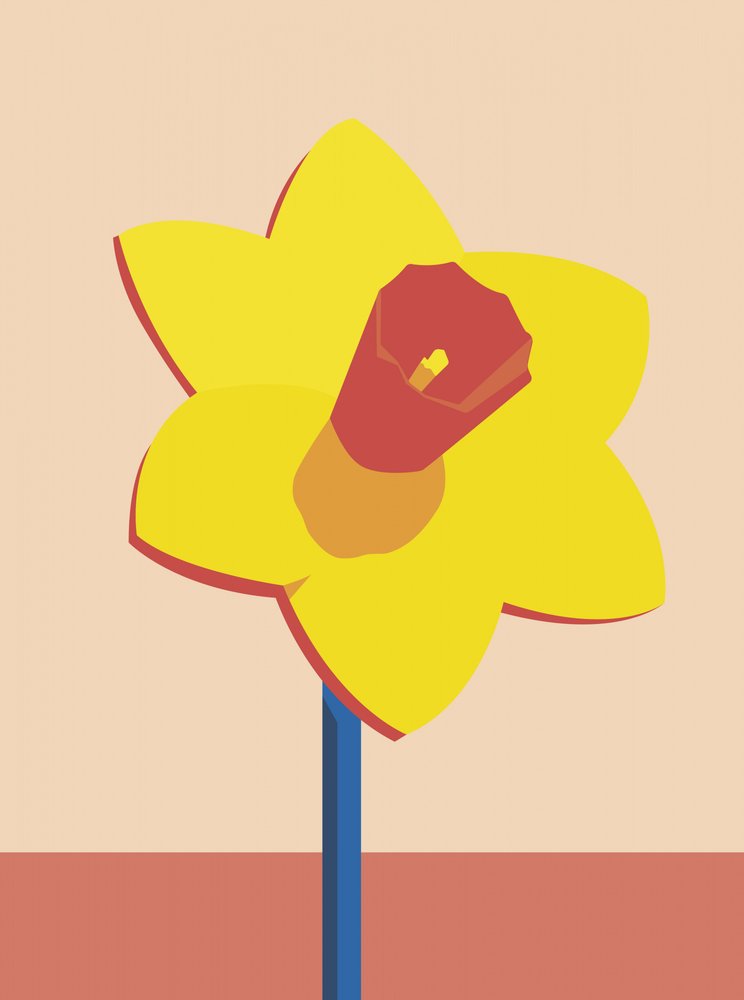 Modern Yellow Daffodil