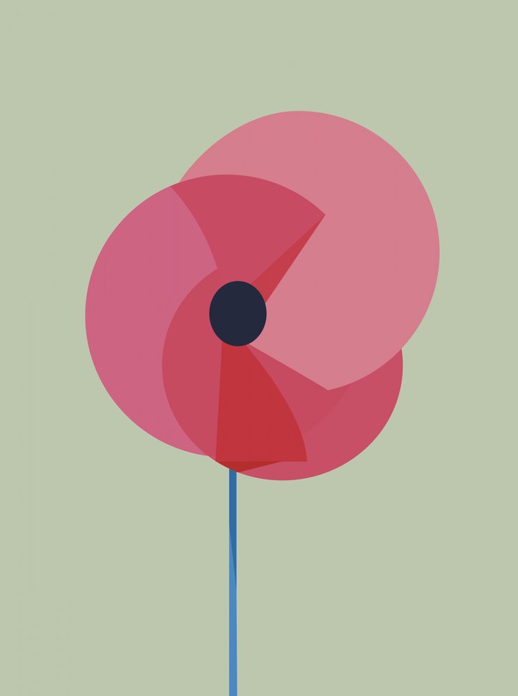 Minimalist Pink Poppy
