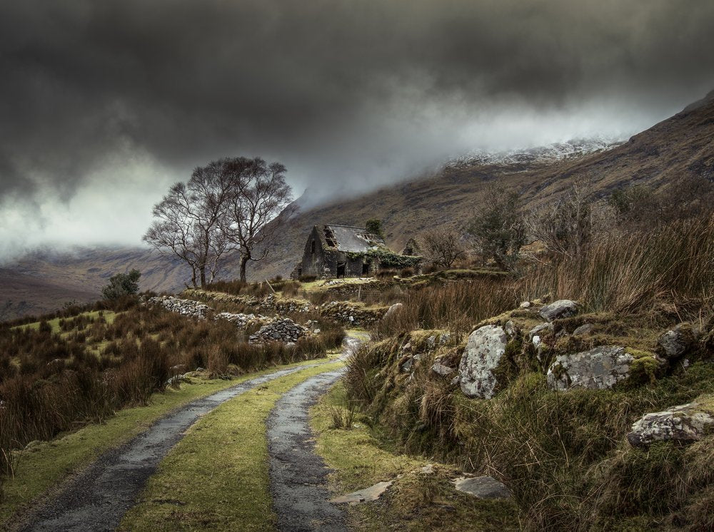 Misty Mountain Cottage