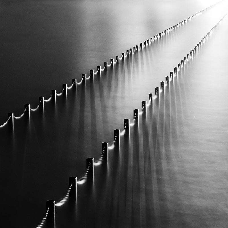 Monochrome Parallel Lines