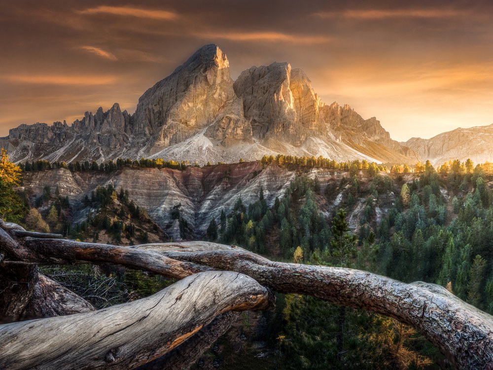 Golden Mountains Autumn Forest